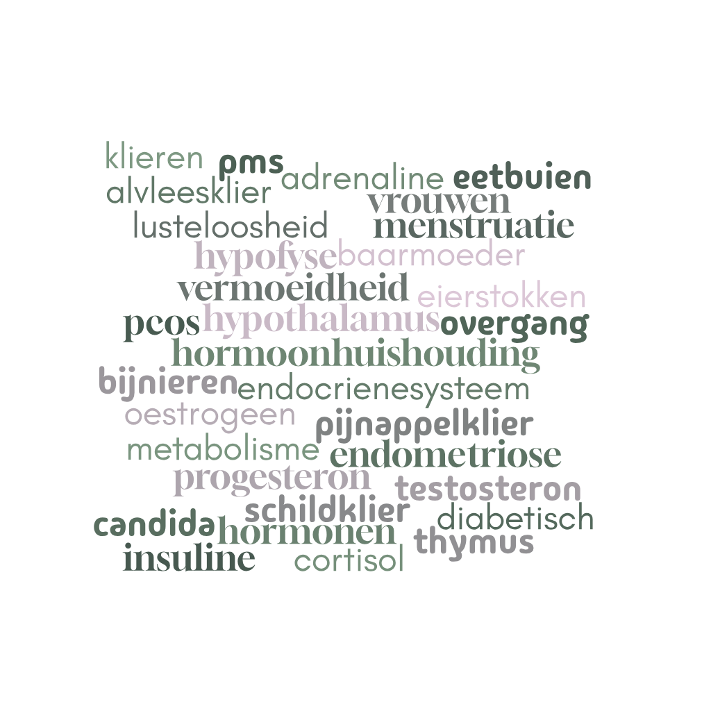 Eierstokken Baarmoeder Hypothalamus Hypofyse Oestrogeen Progesteron Testosteron Bijnieren Thymus Schildklier Pijnappelklier Vrouwen Vermoeidheid Lusteloosheid Menstruatie Eetbuien Insuline PCOS PMS Overgang Diabetisch Candida Endometriose Alvleesklier EndocrieneSysteem Hormonen Hormoonhuishouding Adrenaline Cortisol Metabolisme Klieren