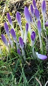 Spring is in the air!!